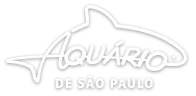 aquario